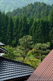 201205008a.jpg