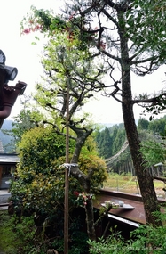 201205008b.jpg
