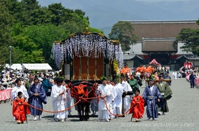 20120516a.jpg